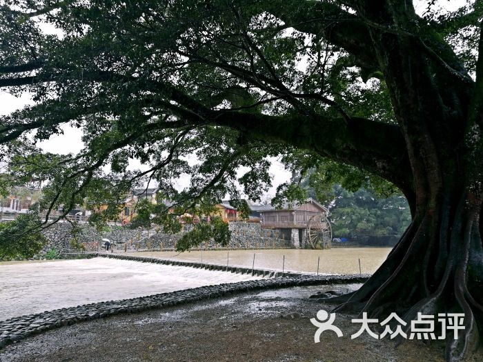 谣%{w?T刮 谣%{w?T刮